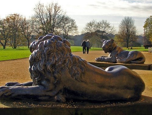 Lions - Heaton Park looking west