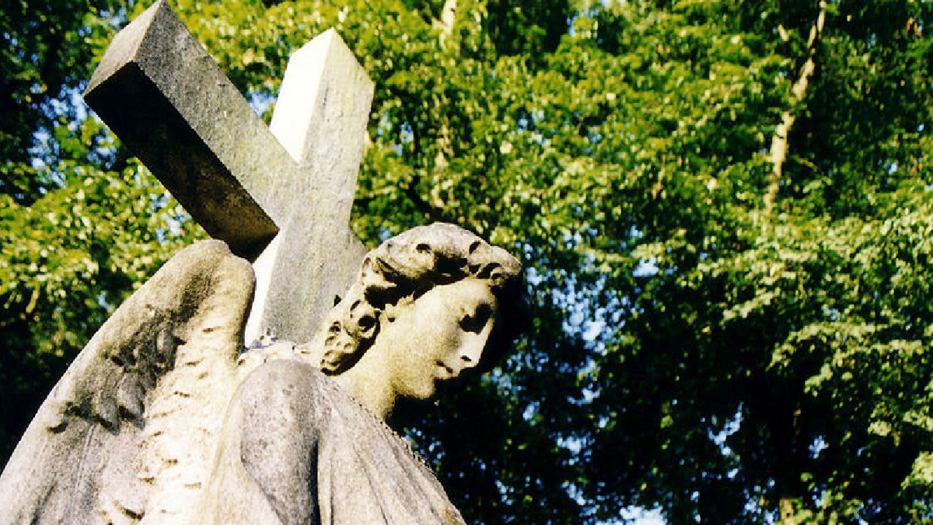 img_1741700490_1741700708__chorltoncemedited